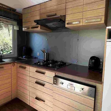 אתר קמפינג 4 Pers - Terrasse - Api-1-52-1751 *